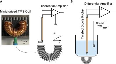 Subthreshold repetitive transcranial magnetic stimulation suppresses ketamine-induced poly population spikes in rat sensorimotor cortex